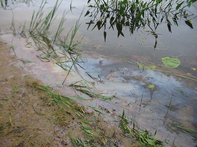 Oil Sheen On Water